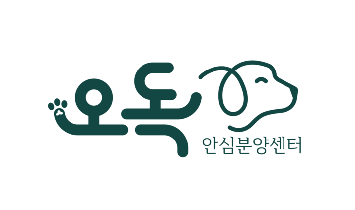 강아지분양,고양이분양 오독안심분양센터/위탁센터,인천,광주,대구,시흥