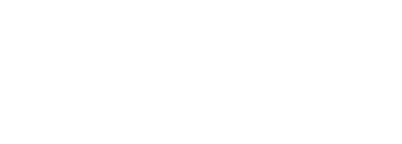 볼드 인사인트