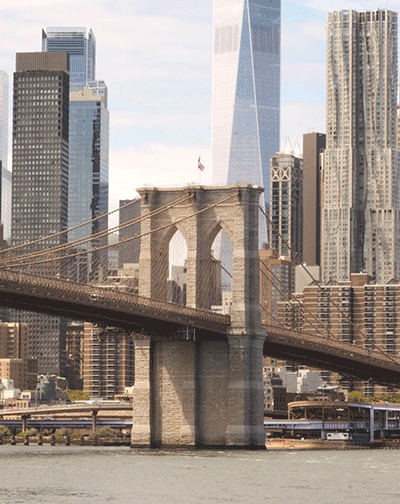 추천 프로그램 이미지