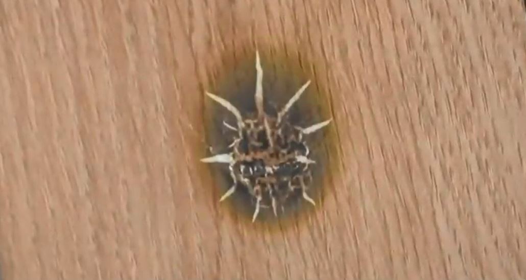 방화실험 후 준불연시트