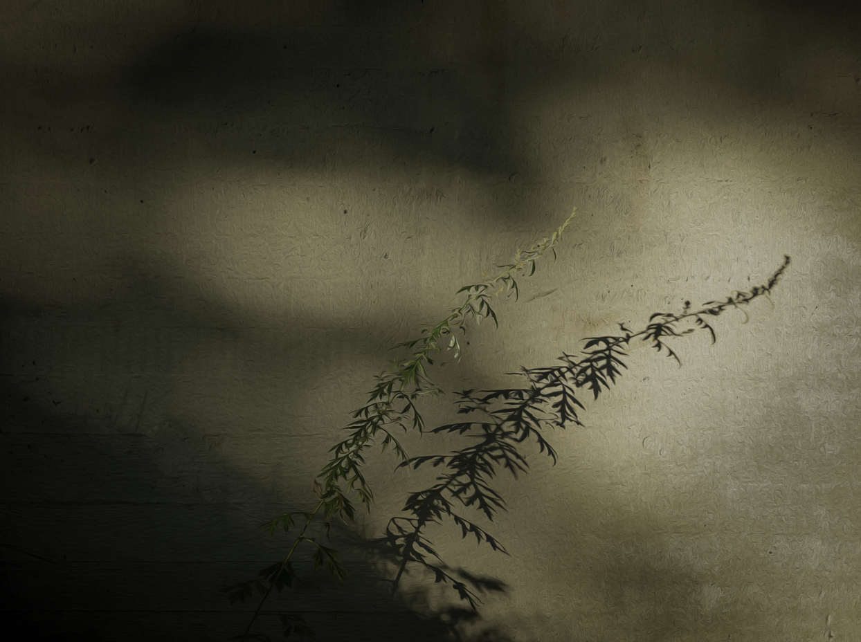 mobile background