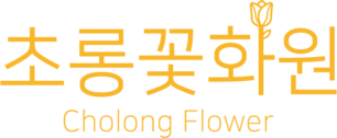 초롱꽃화원 | 김포 꽃배달·개업화분·관엽식물·꽃다발
