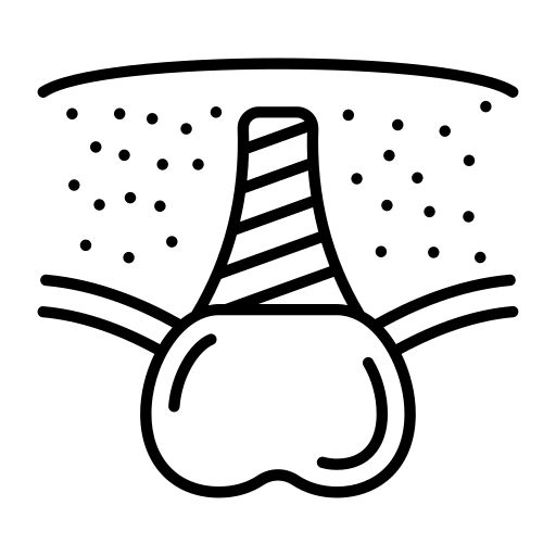 상악동 거상술