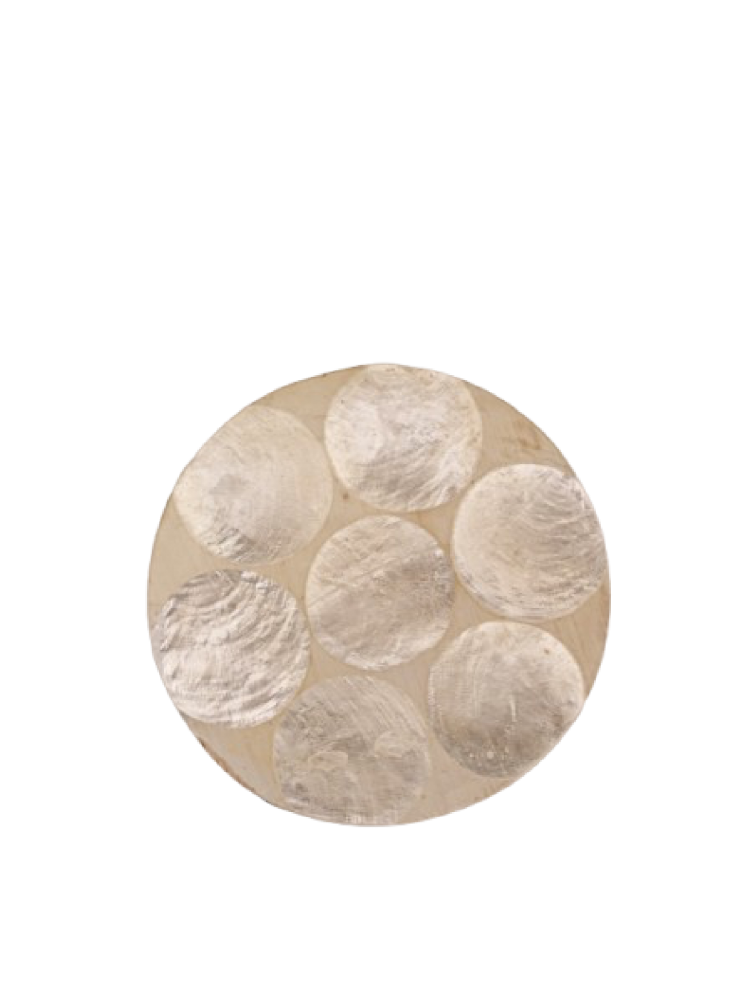 Shell Coaster _ Circle 01 : owncollectionmuseum