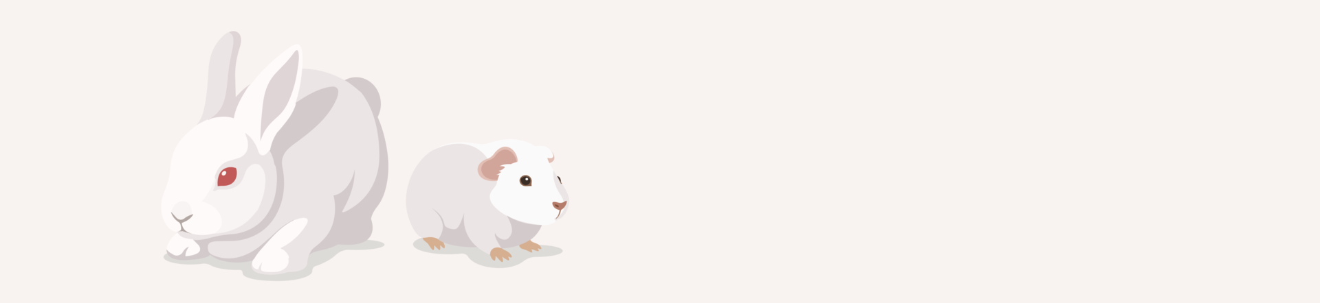 Rabbit & Guinea pig