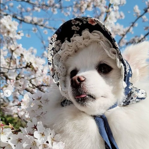 상품 이미지
