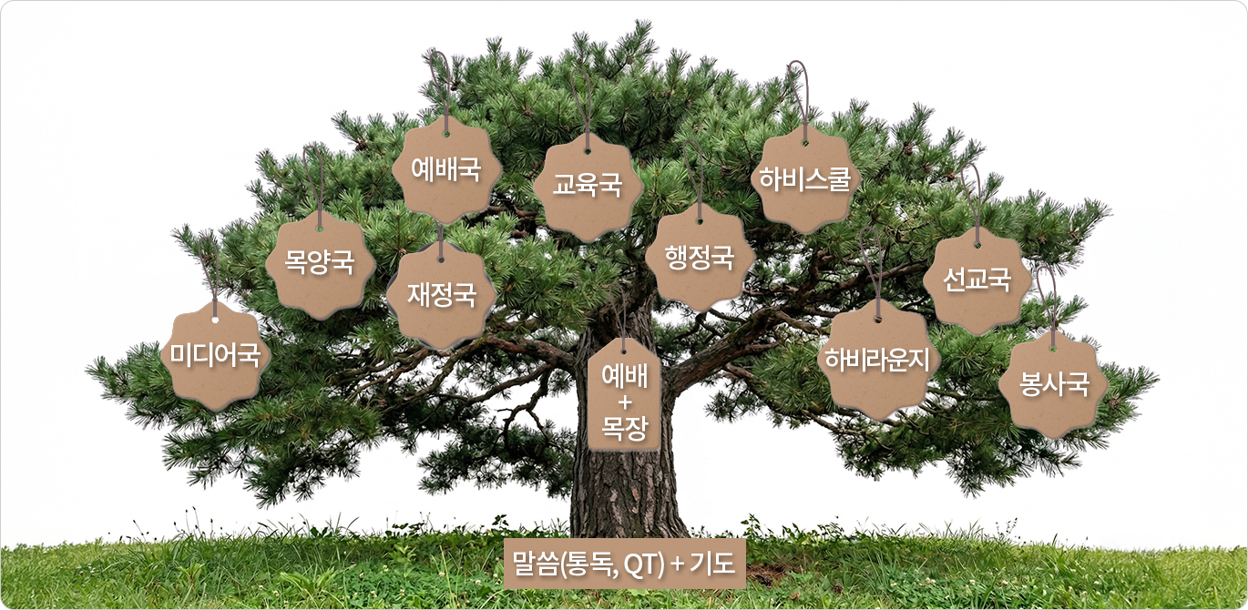 정체성 “나무교회”