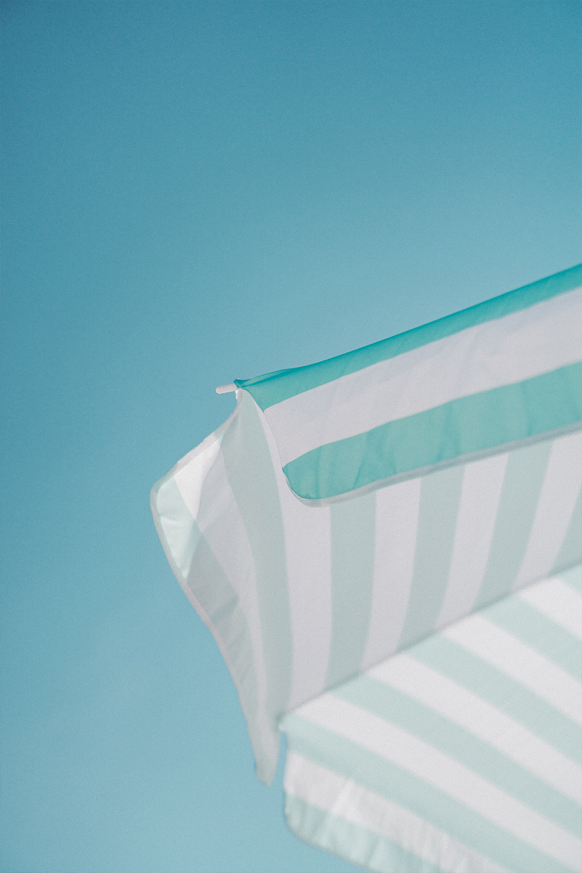 5 ~ 6월 새로운이야기(신제품)