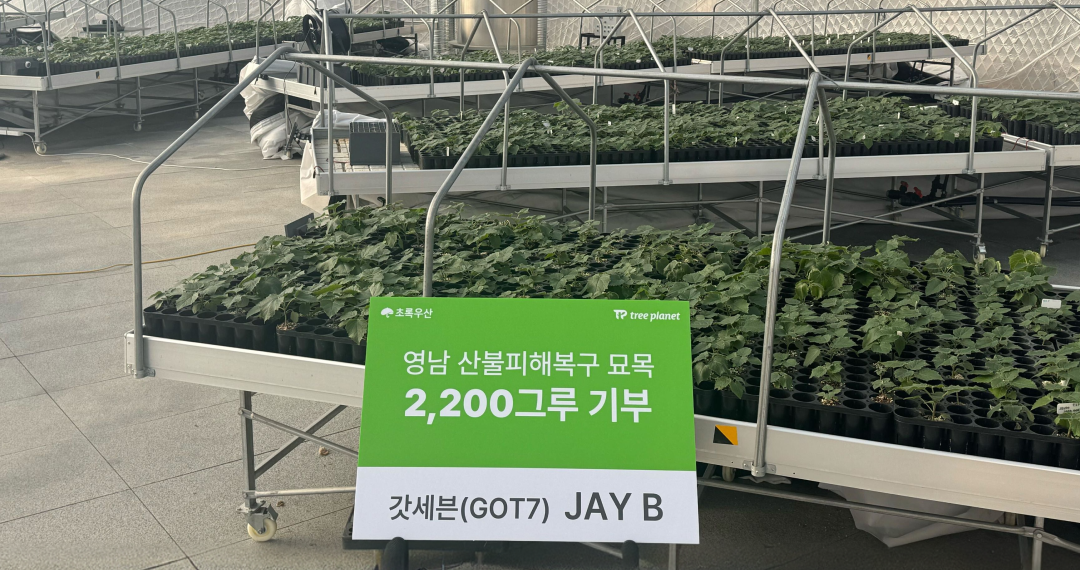 어린이재단 묘목기부 사례