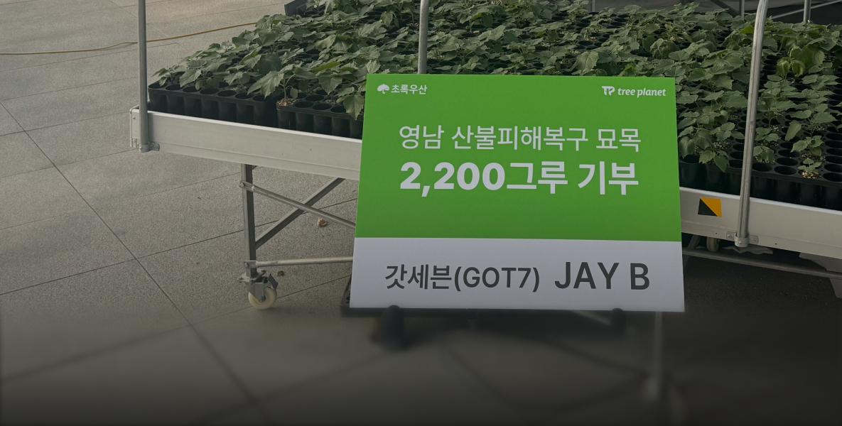 어린이재단 묘목기부 사례