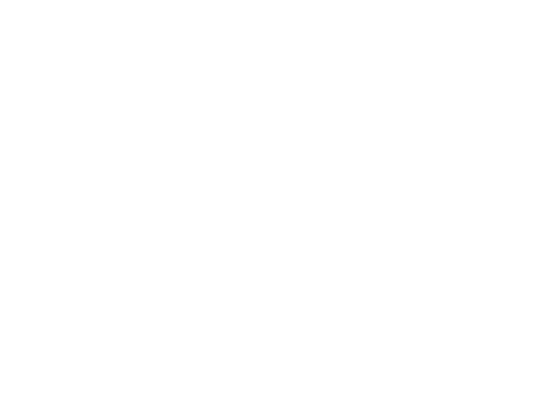 아네스 ANES