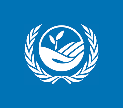 UNCCD