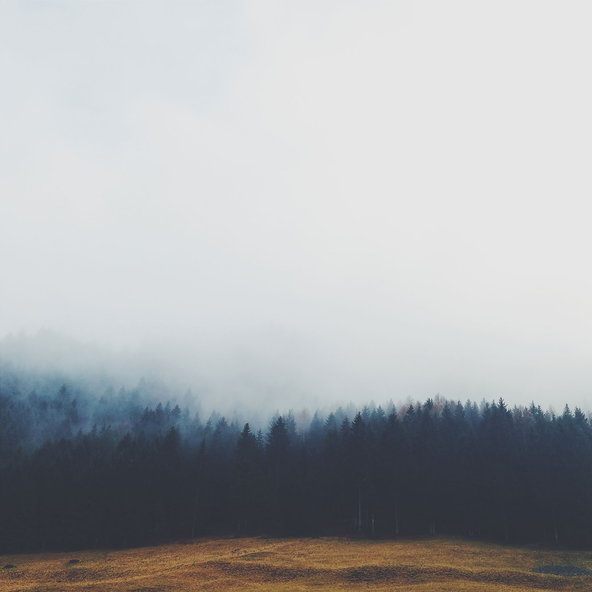 mobile background