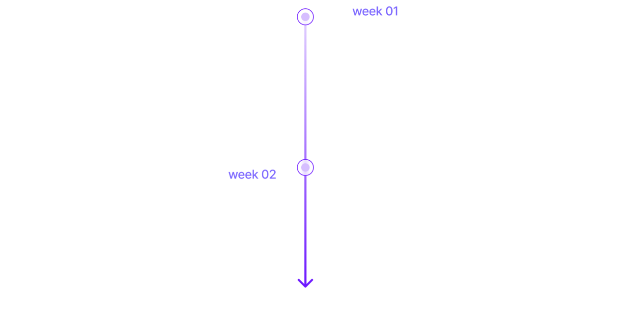 보라색 세로 화살표로 week 01 ‘도메인 연결 + 상품 데이터 동기화’ → week 02 ‘UI 커스터마이징 + 자사몰 배포’를 보여주는 인포그래픽