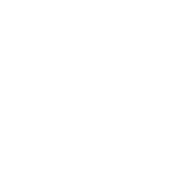 Seoul Marathon