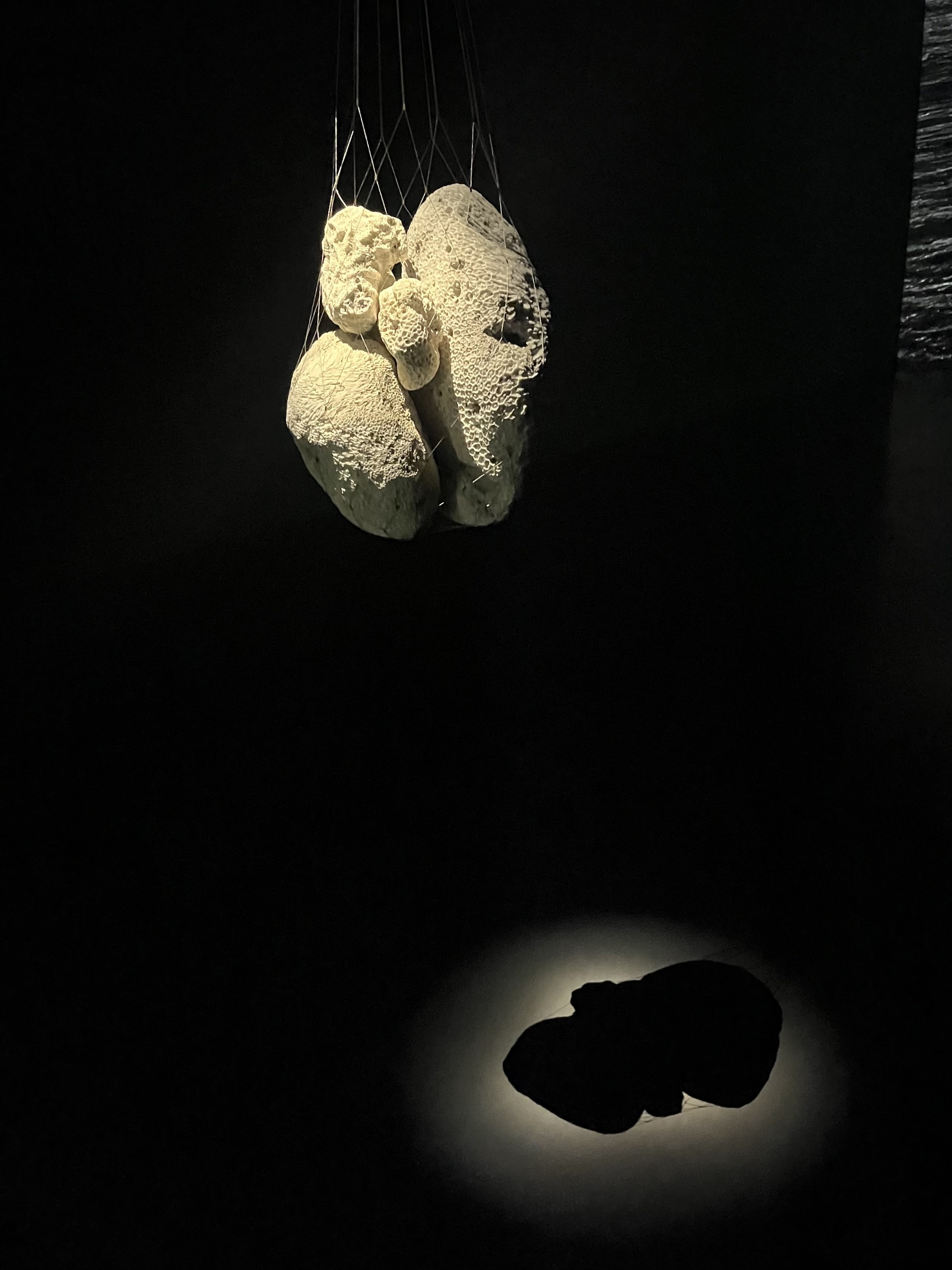 대답없는 지평 lli, 2025