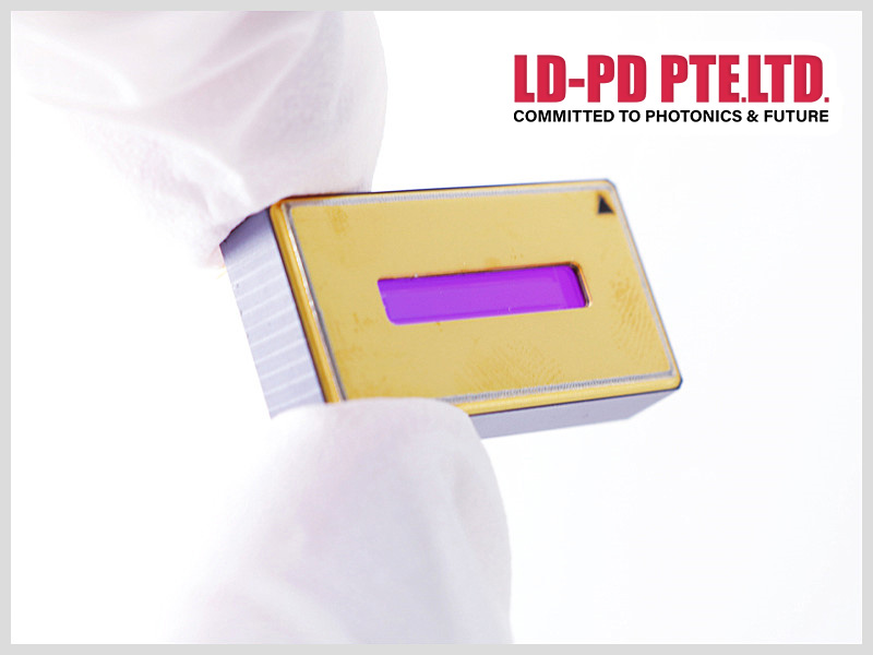NIR-256×1 InGaAs linear detector : InGaAs photodiode
