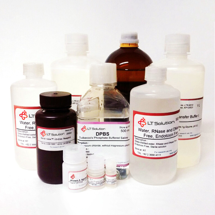 Acryl-Bis Protein-PAGE 15% (29:1) Resolving Gel 프리메이드버퍼 WB-Gel ...