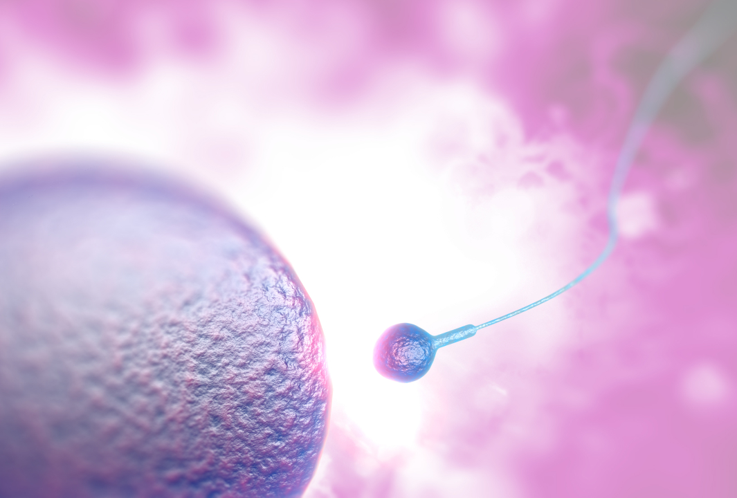 임신 전 건강검진(Pre-conception) 안내