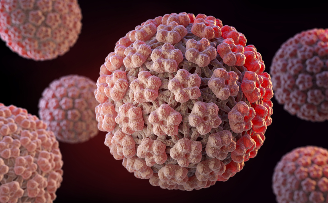 고위험군 HPV (16, 18형 등)