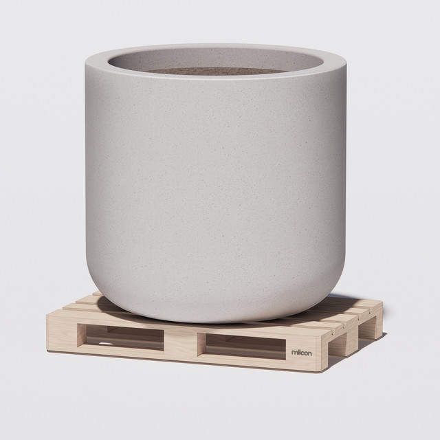 SAKE