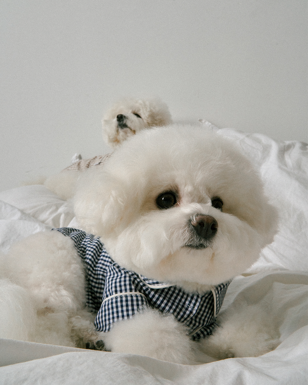  Soft cotton, cozy moments