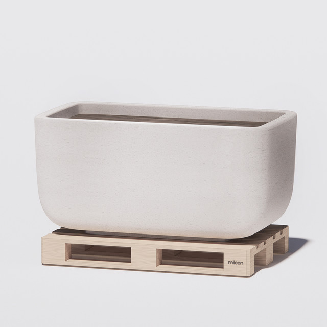 BOXY