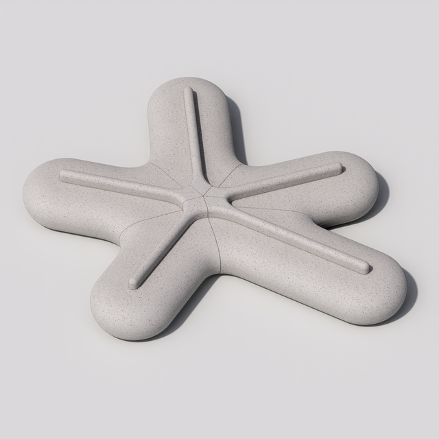 STARFISH BIG