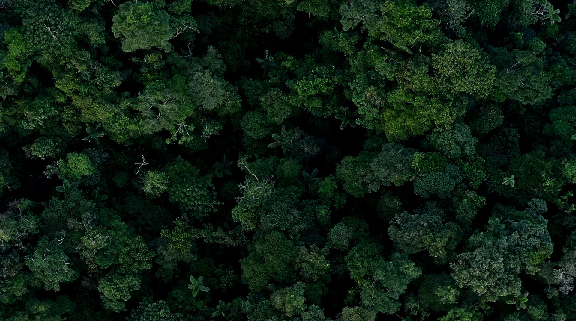 mobile background