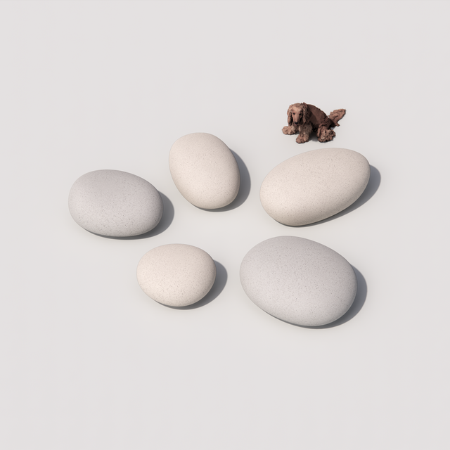 1000 PEBBLES