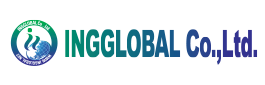 아이엔지글로벌(주)