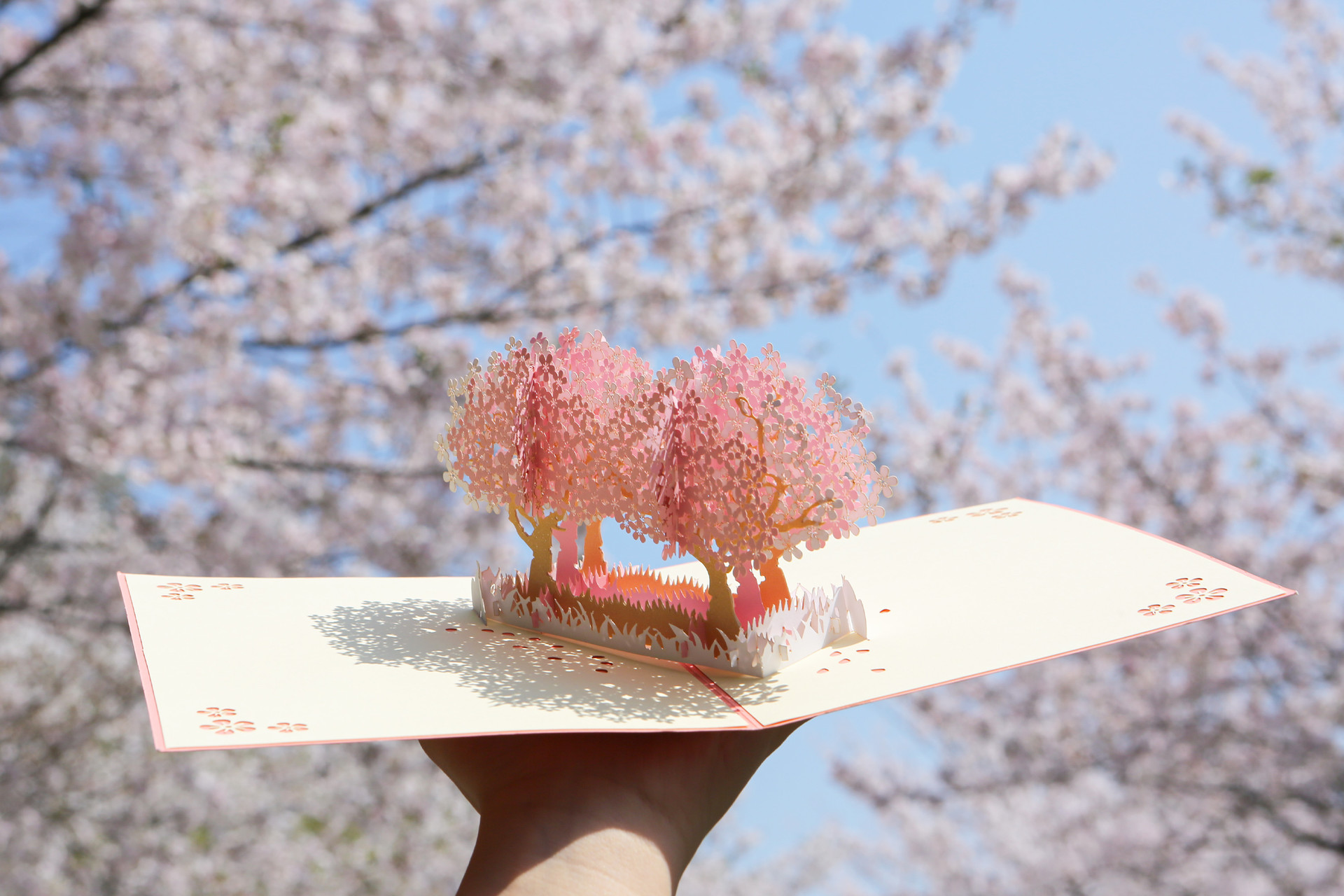 <p style="margin-left:10px;">손끝에서 펼쳐지는 봄,</p><h5 style="margin-left:10px">그 순간은 하나의 기억으로 남습니다.</h5>