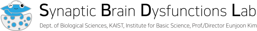 Synaptic Brain Dysfunctions Lab