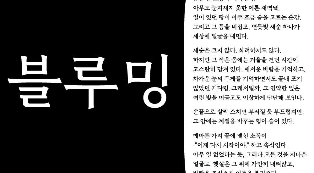 블루밍, 손재이, 손재이 디자이너, 폰트, 글꼴, font, 11172, blooming, 블루밍 글꼴