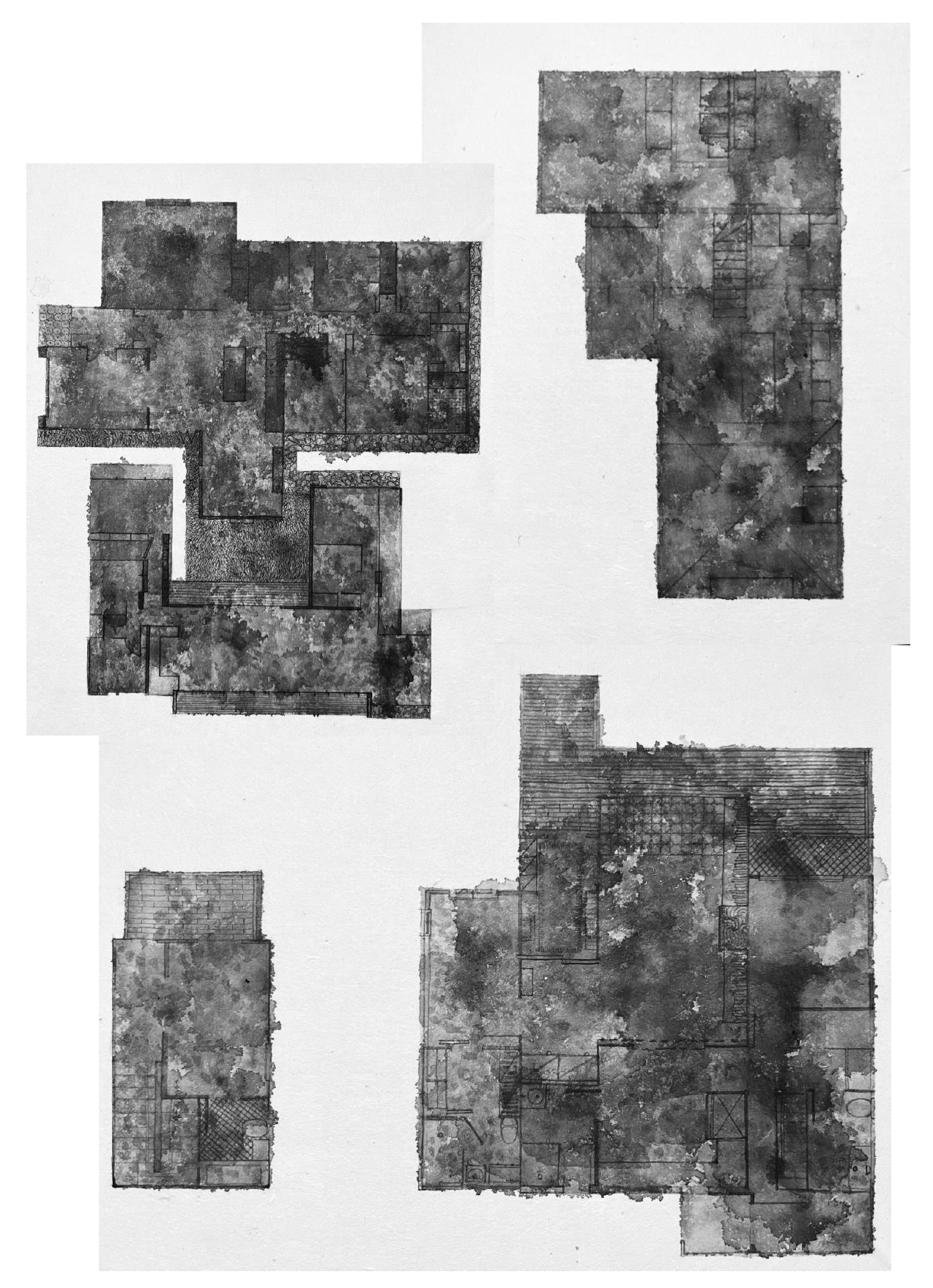Floorplans, 순지위에 먹, 가변설치, 2024 