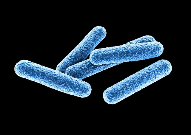 마이크로바이옴 분석 — 푸른 배경의 세균 세포