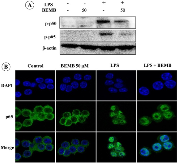 그림 2. 논문 예시 