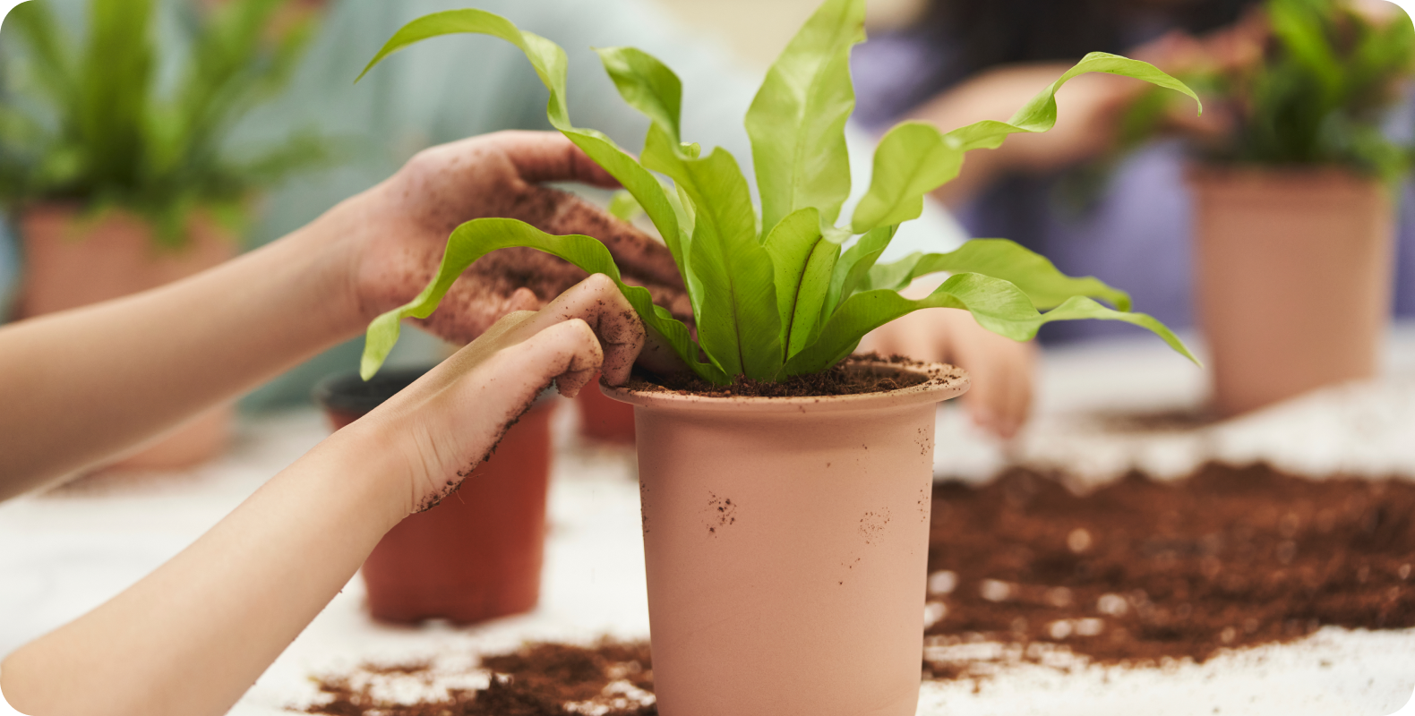 교육숲 환경교육의 실제 사례 2