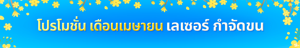 ยังไม่รวม VAT