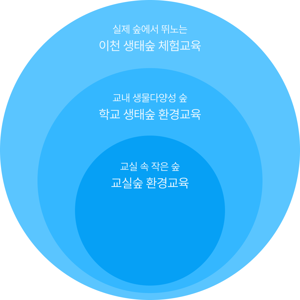 교육