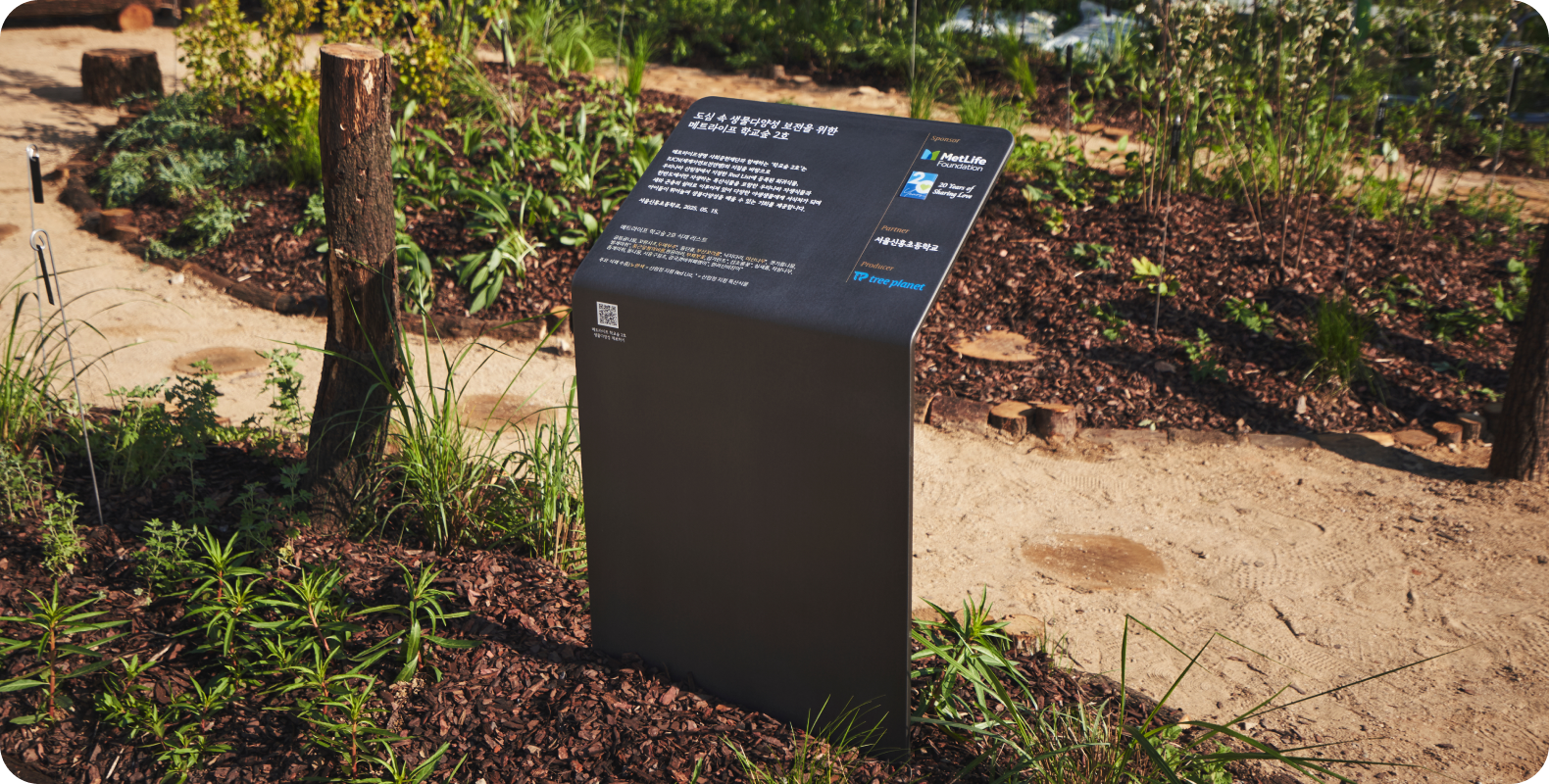 학교 생태숲의 실제 사례 3