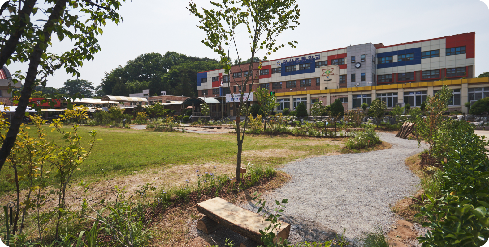 학교 생태숲의 실제 사례 1