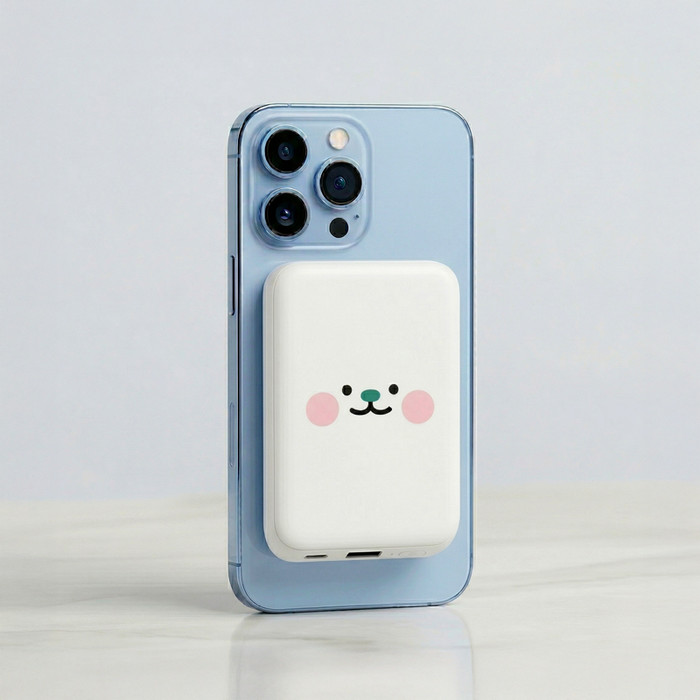 포트폴리오