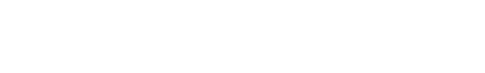고려대학교 한반도보건사회연구소