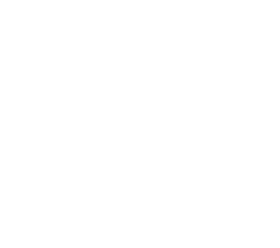 비행해충