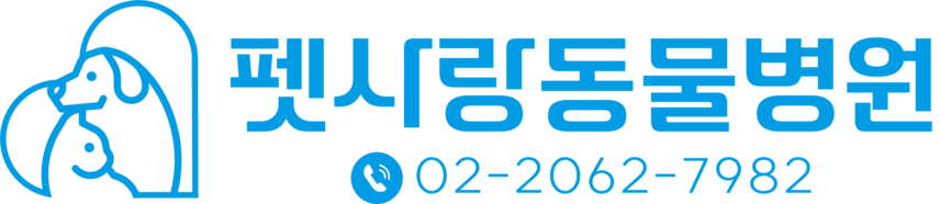 펫사랑동물병원 l 강아지 고양이 스케일링 · 피부질환 전문