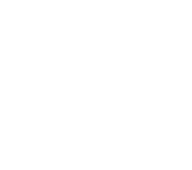 개미