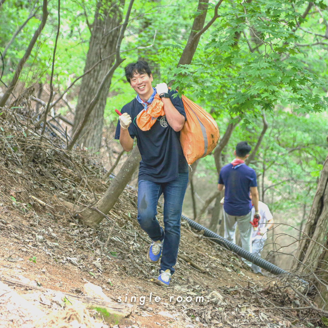 자연 정화 활동