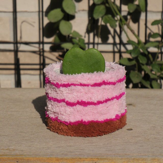 <p style="text-align:left; font-size:16px; margin-top:26px;">[Plant+Ribbon Packaging] Mini Pot<br><span style="color:#666;">₩ 39,000</span></p>