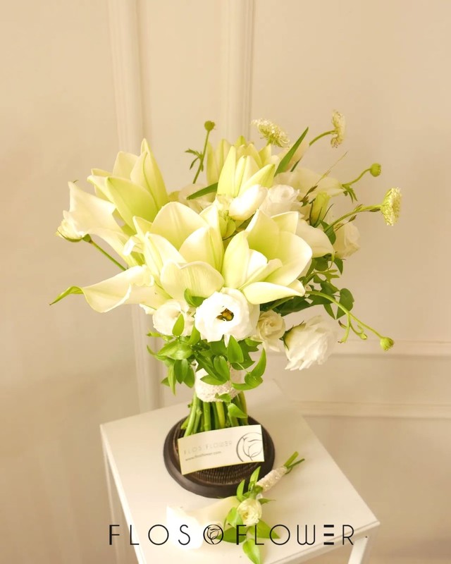 <p style="text-align:left; font-size:16px; margin-top:26px;">POCELAIN<br><span style="color:#666;">₩ 60,000</span></p>